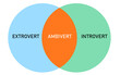 extrovert introvert ambivert intersection diagram infographics with flat style