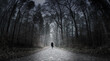 Eine Frau geht einsam über eine Strasse in einem dunklen Wald