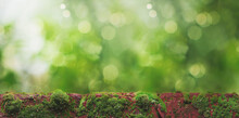 Red Bricks With Green Moss On A Blurry Background With Unfocused Light