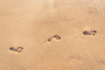 Wall Mural - footprints in the sand