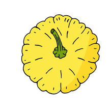 One Yellow Squash In Doodle Style Isolated On White Background. Vector Illustration, Hand-drawing. Vegetable For A Healthy Diet.