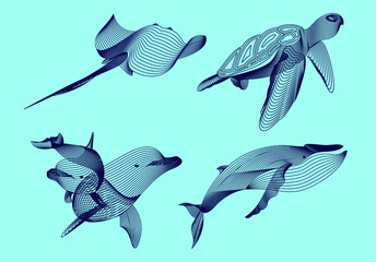 Set marine graphic animals. Vector illustration. The whale,  dolphin, cramp, turtle consist of lines.Digital elements design  for business cards, invitations, gift cards, flyers and brochures, web.