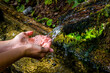 Washing Hands And Drink From A Spring With Clear And Cold Mountain Water