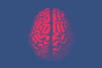 Wall Mural - Red engraving brain vector illustration isolated on blue BG