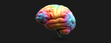 Colorful Polygonal 3D Brain Vector Illustration On White BG