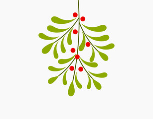 Wall Mural - mistletoe plant hanging. christmas plant illustration.