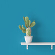 canvas print picture - Opuntien Kaktus auf Regal vor blauer Wand