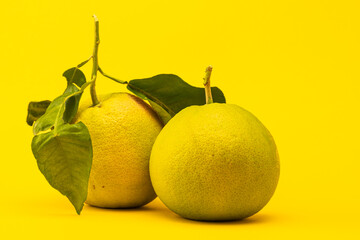 two grapefruits with green leaves isolated on yellow background