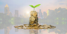 Business Investment And Saving Money Concept, Investor Coin Stacking And Green Plant Growing On Coins In Jar With Savings Money On Photo Blur Cityscape On Sunlight Background.
