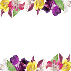 Fotomurales - Beautiful floral frame of aquilegia and alstroemeria. Isolated