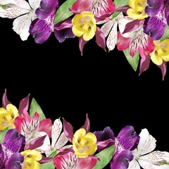 Fotomurales - Beautiful floral background of aquilegia and alstroemeria. Isolated