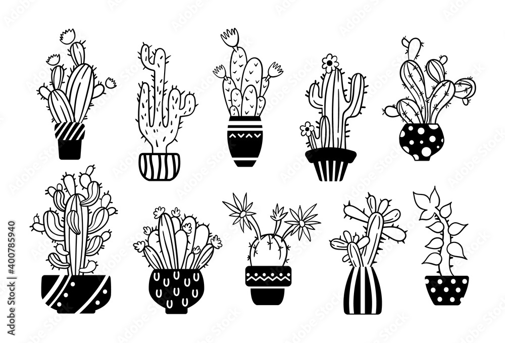 Black white line handdrawn cactus and succulent clipart - isolated ...