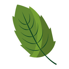 Poster - sawn leaf style flat icon vector illustration design