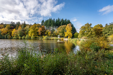 Wall Mural - view of a lake in the autumn sunshine, lined with deciduous trees, which produce their leaves in beautiful yellow and red colors