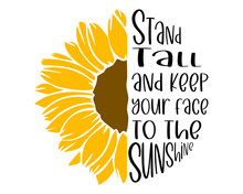 Sunflower SVG, Stand Tall And Keep Your Face To The Sunshine SVG, Flower, Files For Cricut, Digital File Download