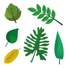 Poster - bundle of sixteen leafs plants flat style icons vector illustration design