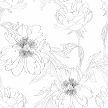 Peony Flowers Seamless Pattern. Floral Background In Black White Color. Flower Frame For Flowershop. Summer Floral Peony Greeting Card. Flowers Background For Cosmetics Packaging.