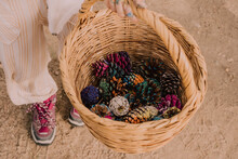 Girl Collecting Colorful Pine Cones In Wicker Basket At Park