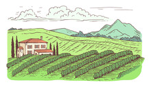 Rural Countryside Landscape With Vineyard Cartoon Vector Illustration Isolated.