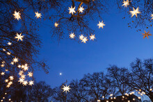 Tree Branches Decorated With Star Shaped Christmas Lights Glowing Outdoors At Night