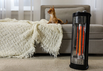 Sticker - Chihuahua in living room, focus on modern electric halogen heater