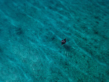 Manta Ray Fish Swimming In Turquoise Sea At Maldives