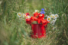 Jug Full Of Freshly Picked Daisies And Poppies