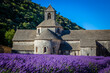 Fields of lavender in front of the famous abbey of Senanque in Provence, France