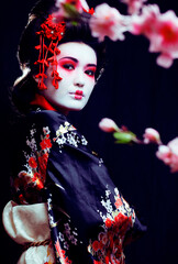 Wall Mural - young pretty real geisha in kimono with sakura and decoration on black background