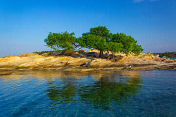 Wall Mural - beautiful landscape peaceful environment space nature photography scenic view of small rocky island and lonely green tree in summer clear weather day time June season