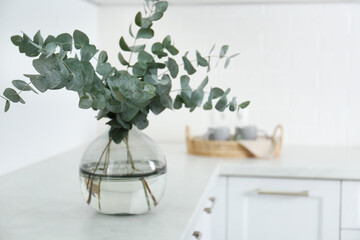 Canvas Print - Beautiful eucalyptus branches on countertop in kitchen, space for text. Interior element