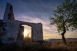 Olive tree next to some house ruins at sunset, with some hills and a scenic sky in the background