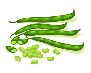 Fresh pods green bean vegetables vector design. Organic food for healthy