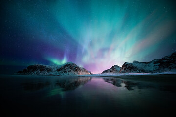 aurora borealis on the beach in lofoten islands, norway. green northern lights above mountains. nigh