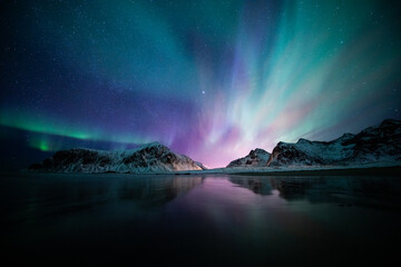 aurora borealis on the beach in lofoten islands, norway. green northern lights above mountains. nigh