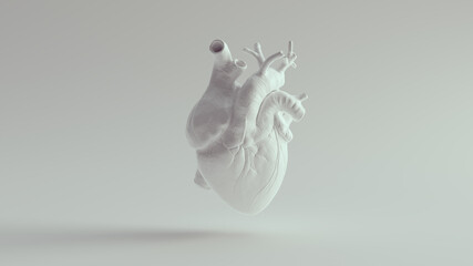 Human Heart Pure White Anatomical Model 3d illustration render