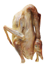 Poster - Salted Goose on white background