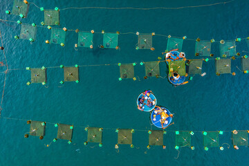 Wall Mural - Aerial view of  shrimp ( prawn ) farm and lobster in front of Yen island, Phu Yen, Vietnam.