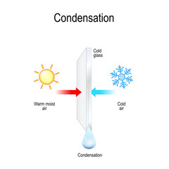 Wall Mural - condensation on a window