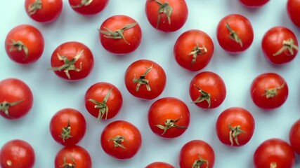 Wall Mural - Rotating cherry tomatoes on a colored blue background. Food video background. Flat lay minimal concept. 