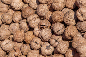 detail of ripe walnut fruit