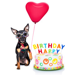 Canvas Print - happy birthday dog