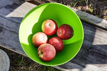 Fresh raw organic summer aplles in round bowl on wooden background