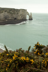 Poster - Etretat