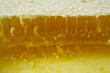 Sweet golden honeycomb acacia honey slice in closeup