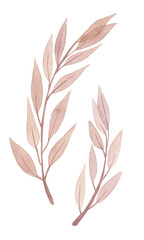 Naklejka na meble Hand drawn watercolor leaves and branches