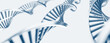 DNA Doppel Helix Protein 3D Visualisierung