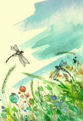 Wall Mural - Watercolor illustration. background with  floral pattern - grass, wild plants of green color. Watercolor card, postcard, invitation. Dragonfly flies
insects, moths. Summer landscape. Beautiful splash