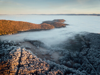 Wall Mural - Majestic nature landscape. Frosty Forest at Sunrise with Fog and Sunlight Beams. Aerial Drone View