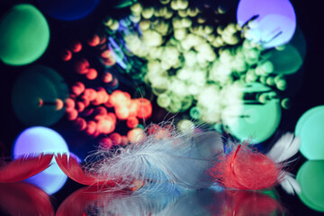 Poster - Beautiful Bird feathers on a bokeh background.  Pattern background for design texture.  Macro view photography.